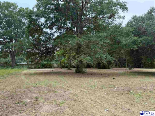 1008 E DARGAN ST, DILLON, SC 29536 - Image c5484fdab4b63bb43dfe309bb3c7767f/4253921440