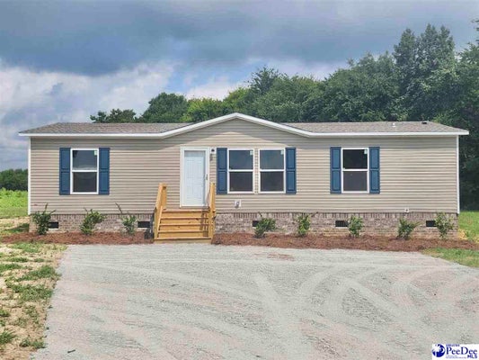 732 BLACK BRANCH RD, DILLON, SC 29536 - Image c979ef7d6b579c8f0b7d489216dc7b37/2255271208