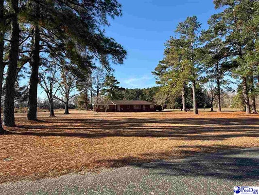 764 1ST OXTOWN RD, SCRANTON, SC 29591 - Image d29cdc94fda9c73e4e230682bcf87a55/1357999059