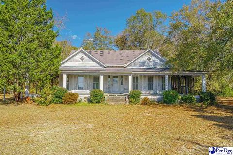 26 Sand Bed Rd., Chesterfield, SC 29709 - MLS#: 20234257