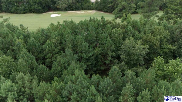442 PEMBROKE BLVD, JOHNSONVILLE, SC 29555 - Image d8d4642a5155b3d1db367df10ed4d657/2695496943