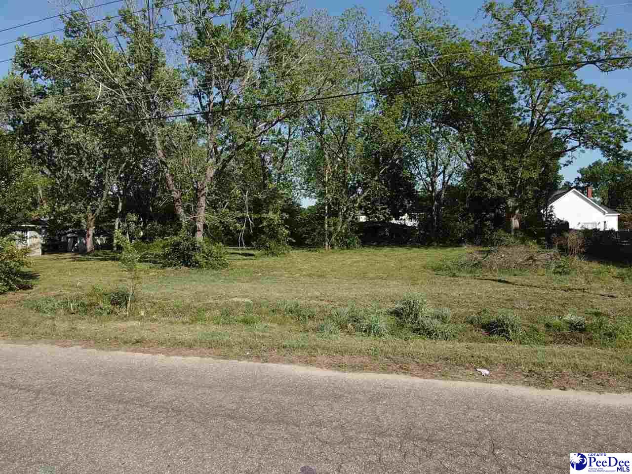 Photo 1 of 4 — 330 NE Railroad Avenue, Latta, SC 29565