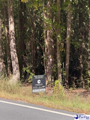 ADDRESS PRIVATE, BENNETTSVILLE, SC 29512 - Image e297f466c8a79c7e783b4f1baeea3fbe/366079940