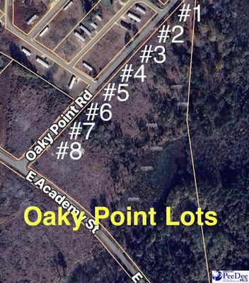 107 OAK ST, LATTA, SC 29565 - Image e2d0b3d7edc9dc0faafae31202455fb2/1443285004