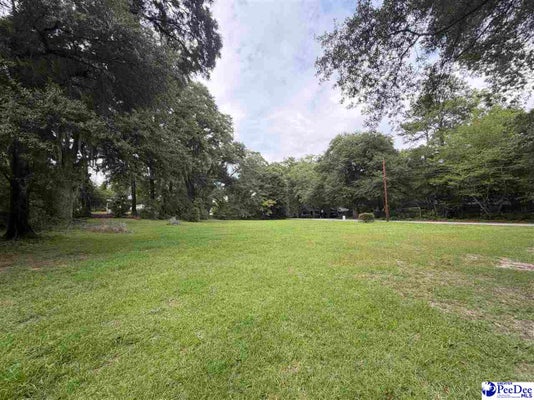 1101 MIMOSA DR, FLORENCE, SC 29501 - Image e3918d6d91c93c8eea5300eb85fe9675/1781355222