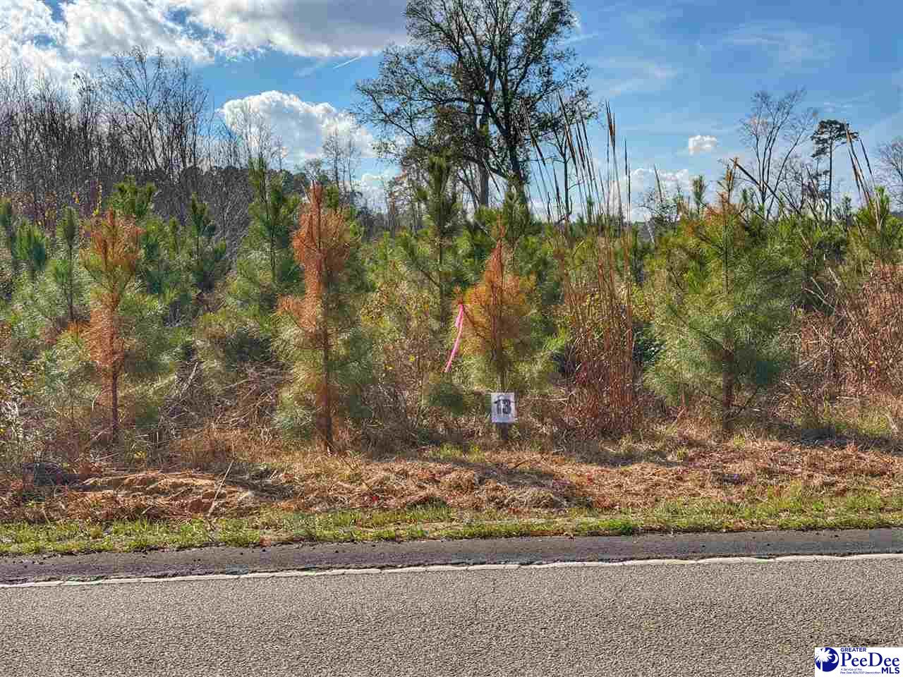 Photo 1 of 2 — Lot 13 E Academy Street Ext., Latta, SC 29565