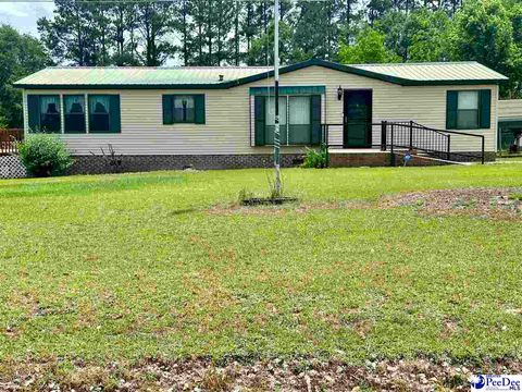 Manufactured Home in Chesterfield SC 164 Phelps Lane.jpg