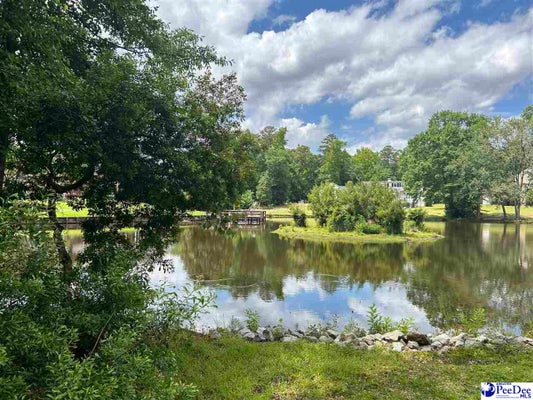20009 HEYWARD CT, FLORENCE, SC 29506 - Image eb2be5a963998eea8e67b9ccfe667a2a/658729522