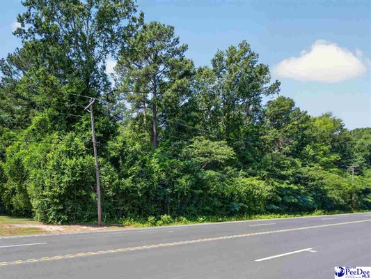 105 W MAIN ST, BENNETTSVILLE, SC 29512 - Image ec0263ef41f9f8a45ed1ffa707f39765/953281422