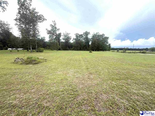PLANTATION RD, JOHNSONVILLE, SC 29555 - Image ee55f2ca155d976acee35cd21beb2454/2279793611
