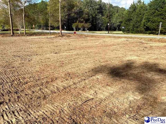 DUNLAP DR, HARTSVILLE, SC 29550 - Image f034798ee2fea6009f2bcb2689eafc55/669956835