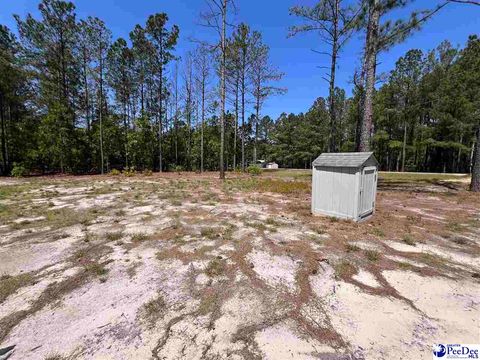 Manufactured Home in Hartsville SC 361 Jackson Street 8.jpg