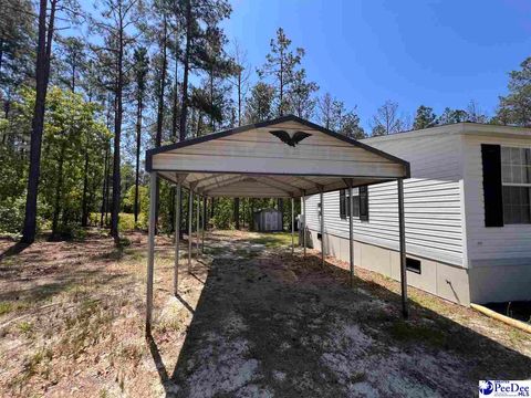 Manufactured Home in Hartsville SC 361 Jackson Street 6.jpg