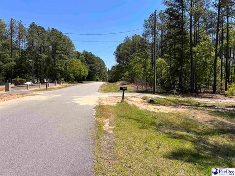 Manufactured Home in Hartsville SC 361 Jackson Street 27.jpg