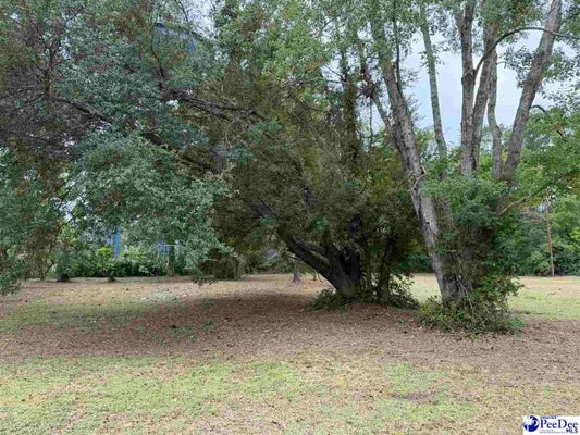 1006 E DARGAN ST, DILLON, SC 29536 - Image f3fa858da45cc7c40bb38c8ddd6e93f4/3337077411