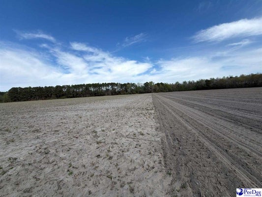 HEUSTESS RD, LITTLE ROCK, SC 29567 - Image f4d537ca3c848d5e2dbde9158ff8546e/539514659