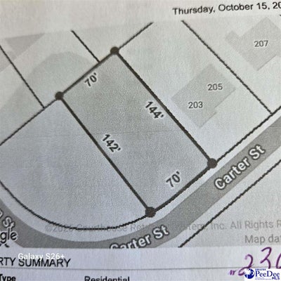 203 CARTER ST, TIMMONSVILLE, SC 29161 - Image f5b3c1f6380fe48d6d36d00ffc0dc482/408876293