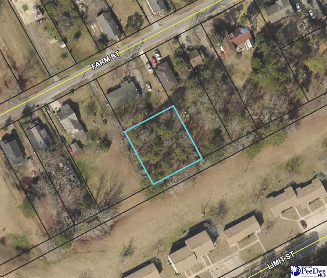 Photo 1 of 1 — TBD Farm Street, Darlington, SC 29532