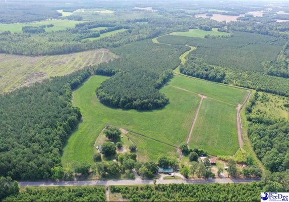 N MATTHEWS RD, SCRANTON, SC 29591 - Image faac92af0e7bfa9adc3605abb3d4f529/1893089512