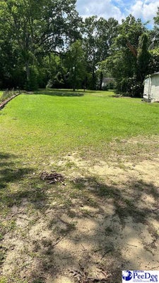 287 BUBBA RD, MARION, SC 29571 - Image fb3a491bd8b688fb2ad8ea4f128c656a/3478829139