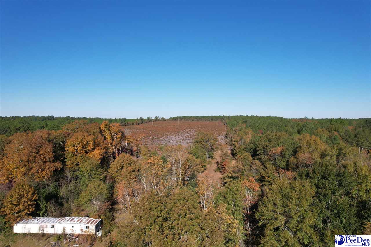 Photo 1 of 5 — 2812 New Market Rd, Hartsville, SC 29550