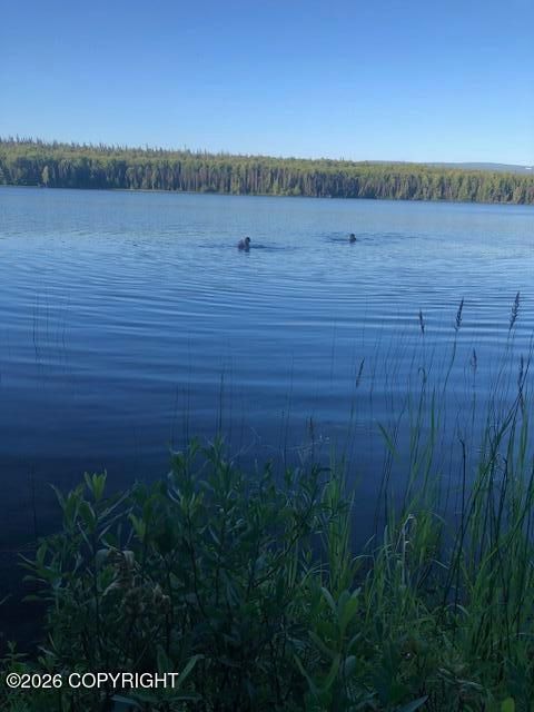 Vacant Land For Sale - NO ROAD Susitna Lake Road<br/> Glennallen, AK 99588