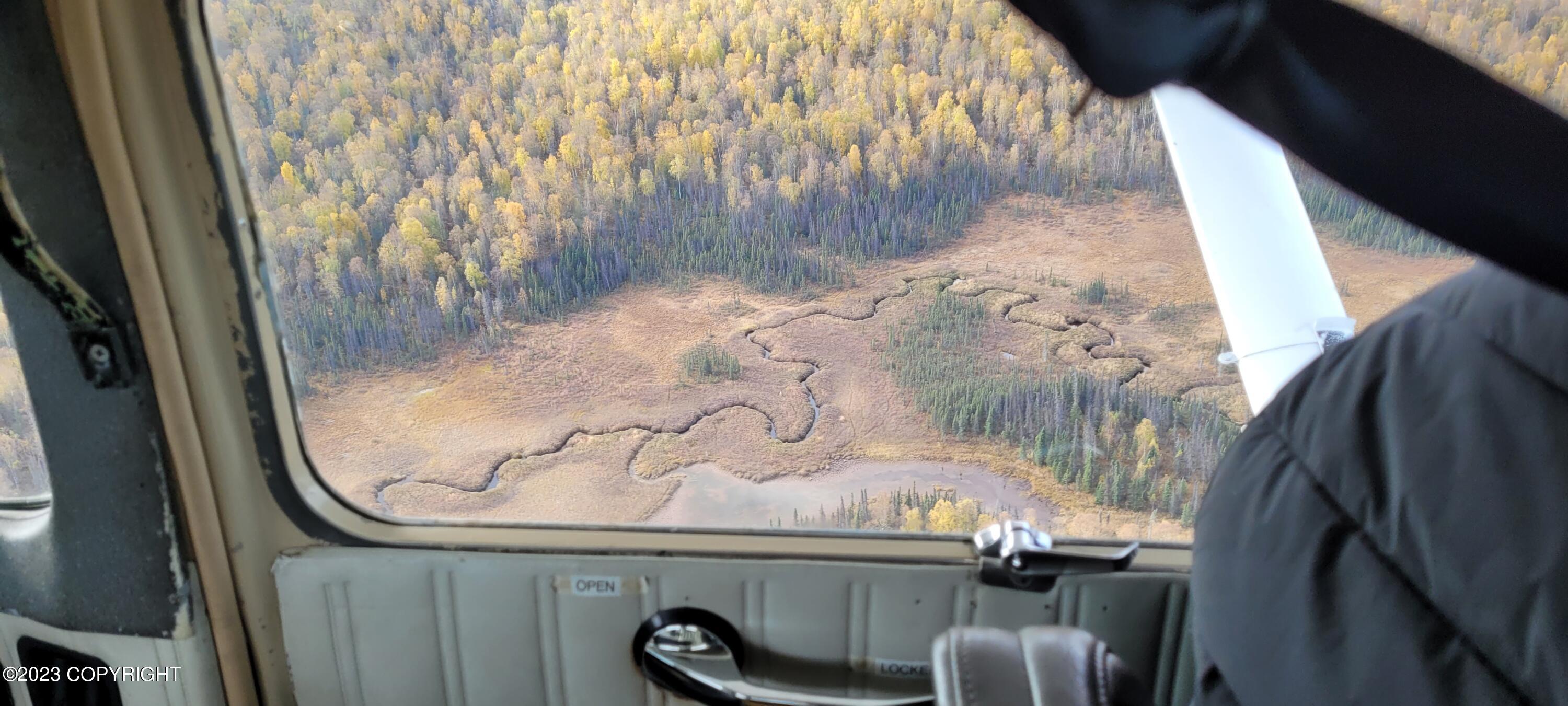 Tr A E No Road Ln, Talkeetna, Alaska image 9