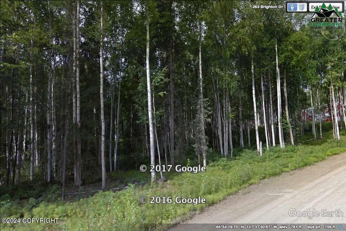 L1 B2 Brighton Drive, Fairbanks, Alaska image 1