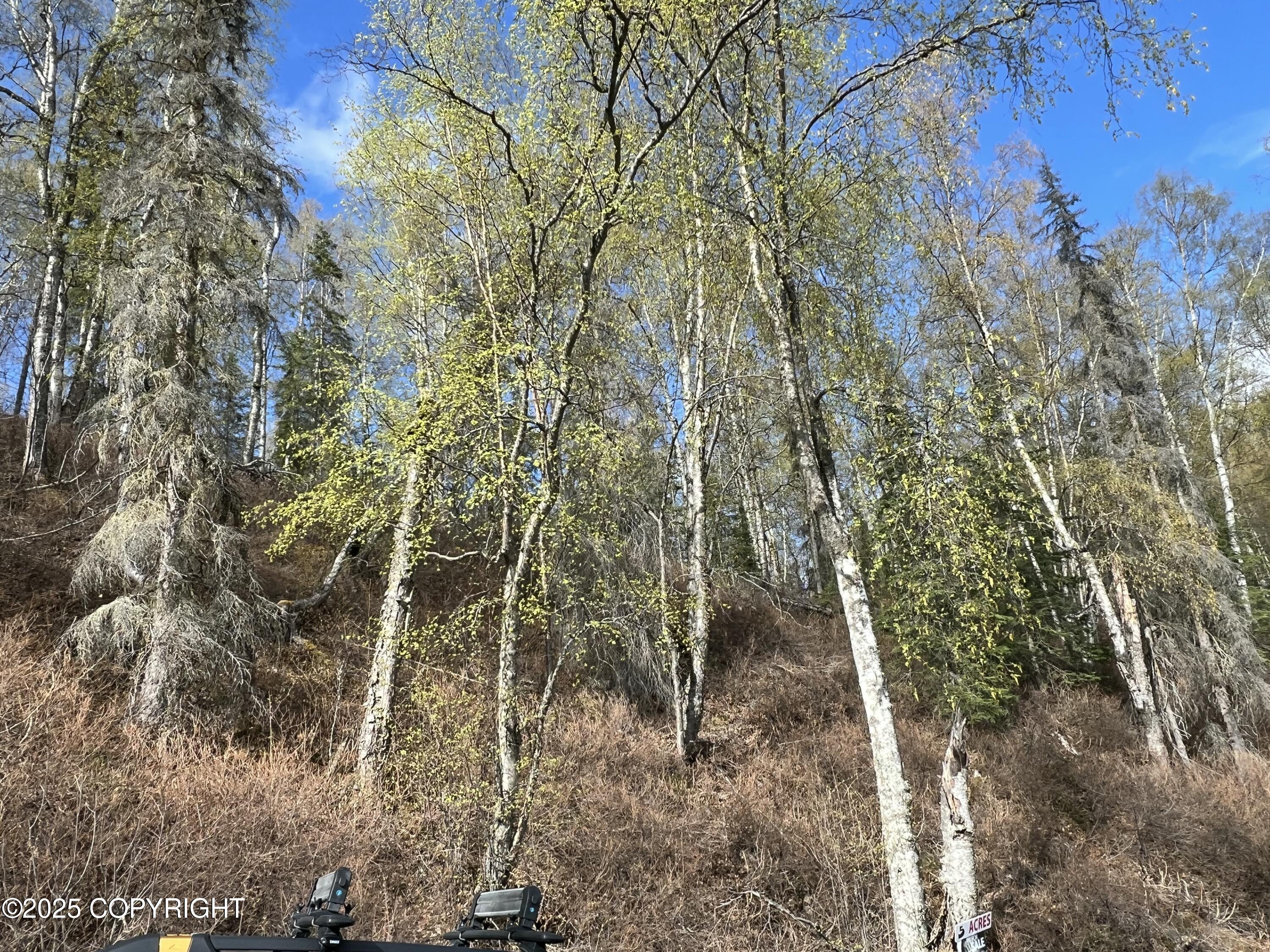 5376 S Jay Sedor Street, Big Lake, Alaska image 13