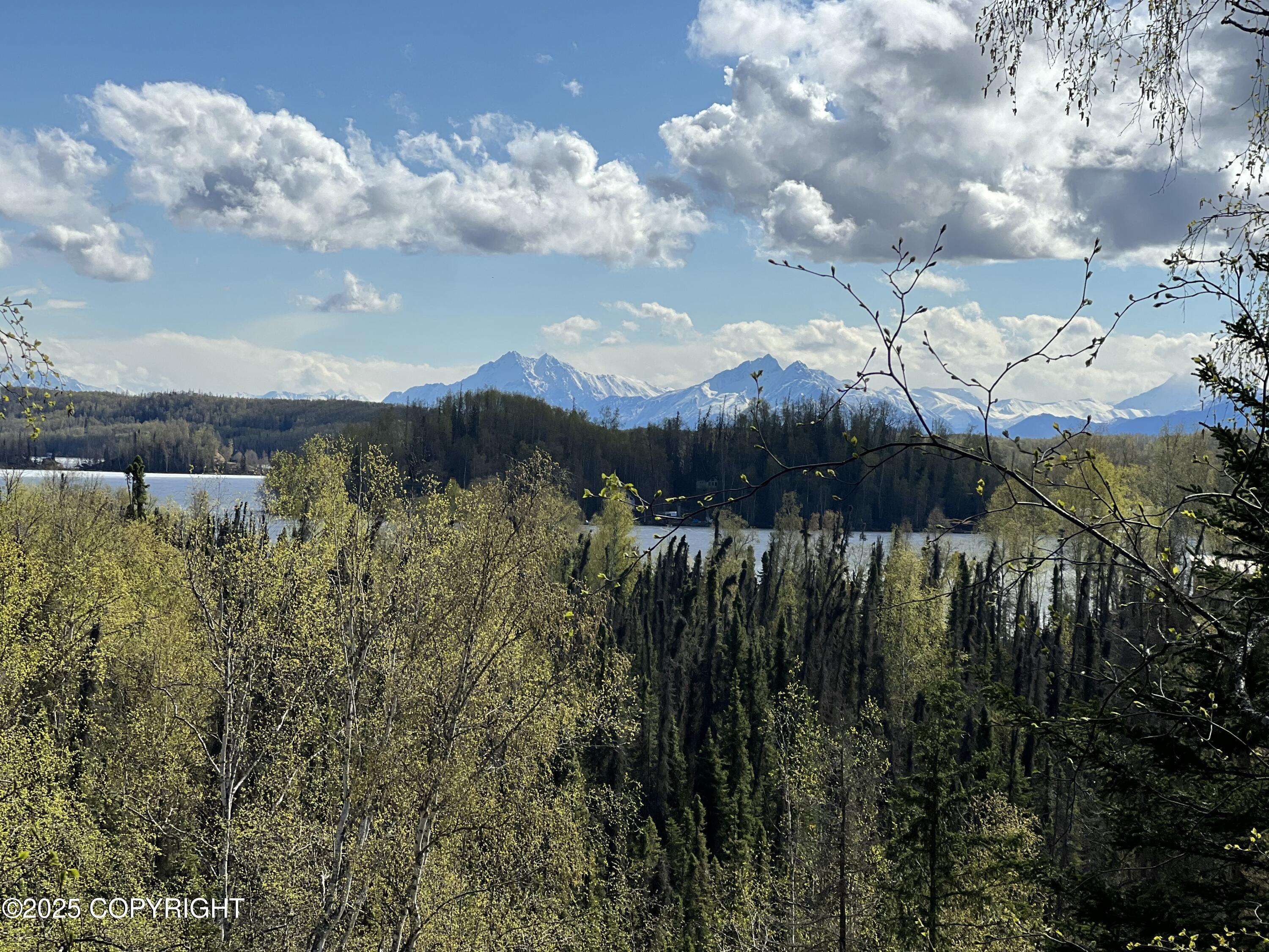 5376 S Jay Sedor Street, Big Lake, Alaska image 3