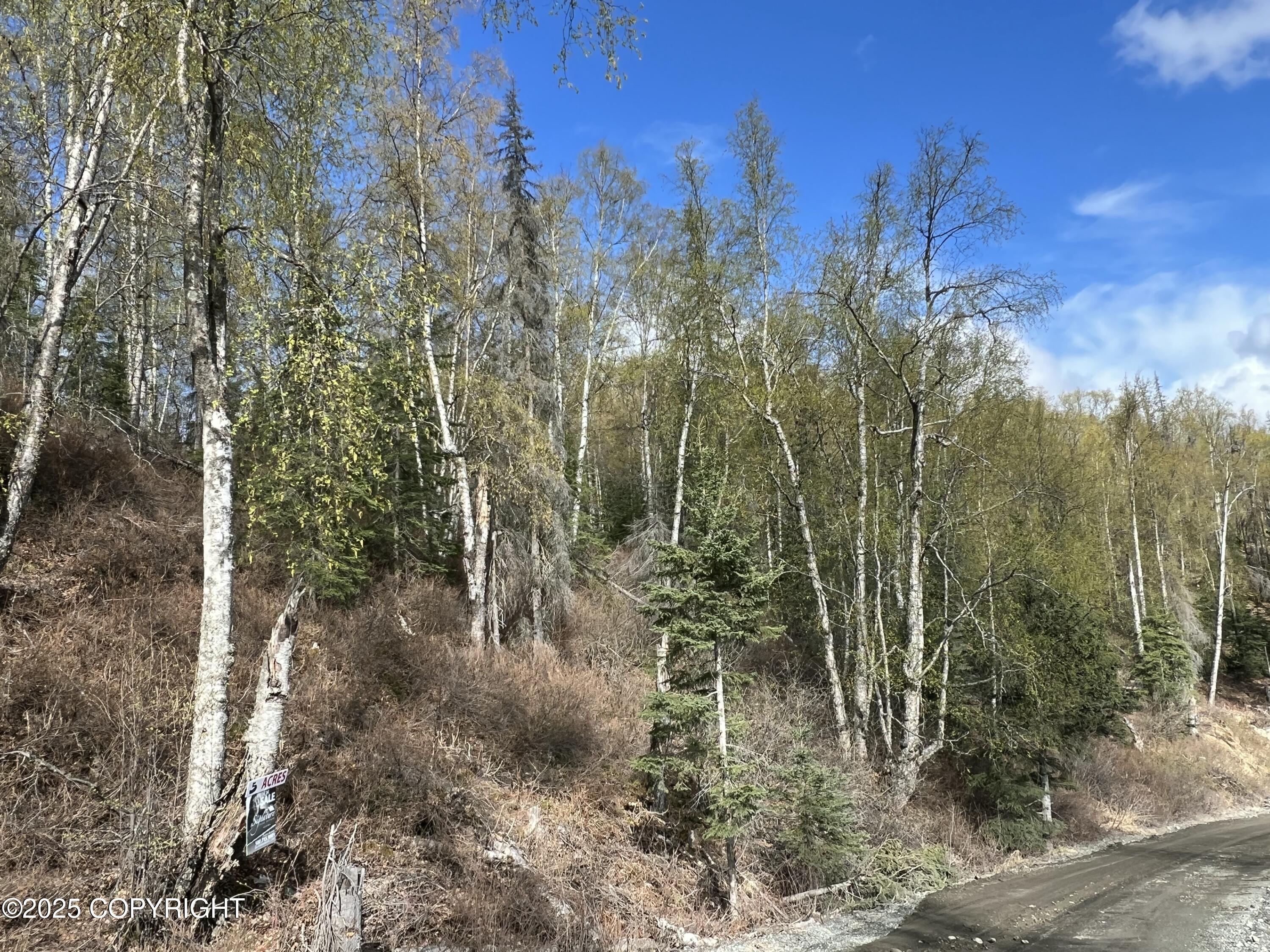 5376 S Jay Sedor Street, Big Lake, Alaska image 12