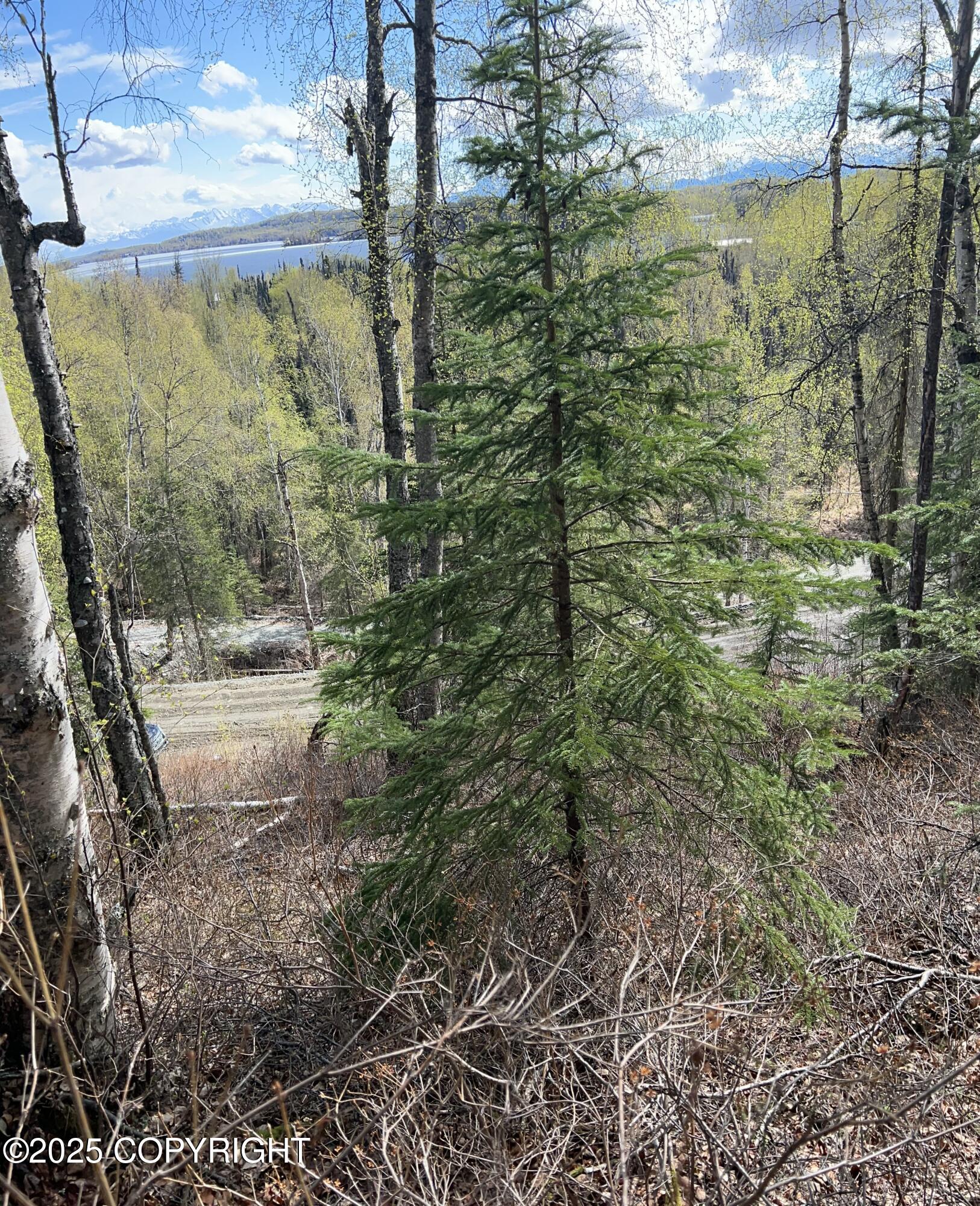 5376 S Jay Sedor Street, Big Lake, Alaska image 7