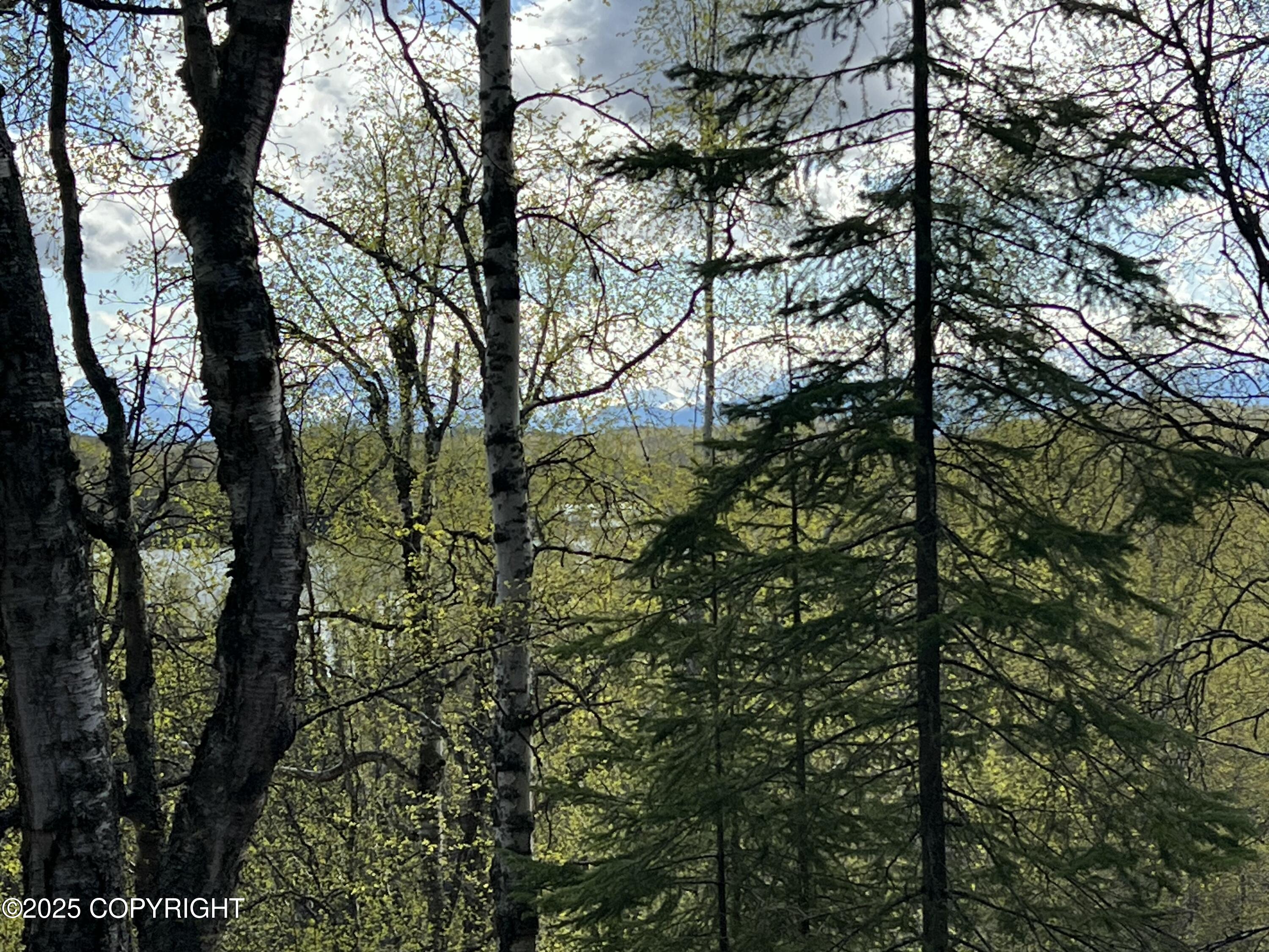 5376 S Jay Sedor Street, Big Lake, Alaska image 15