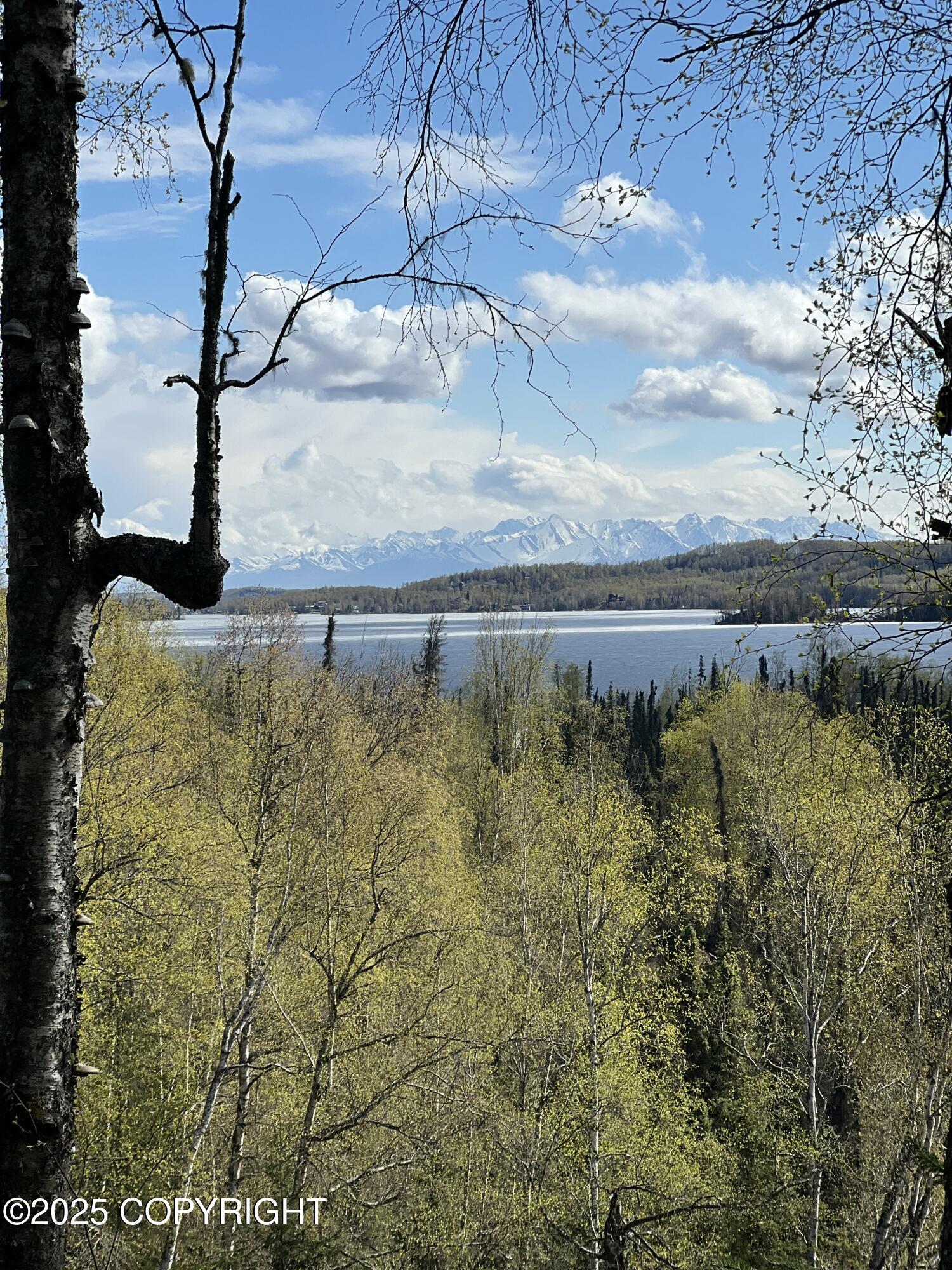 5376 S Jay Sedor Street, Big Lake, Alaska image 8