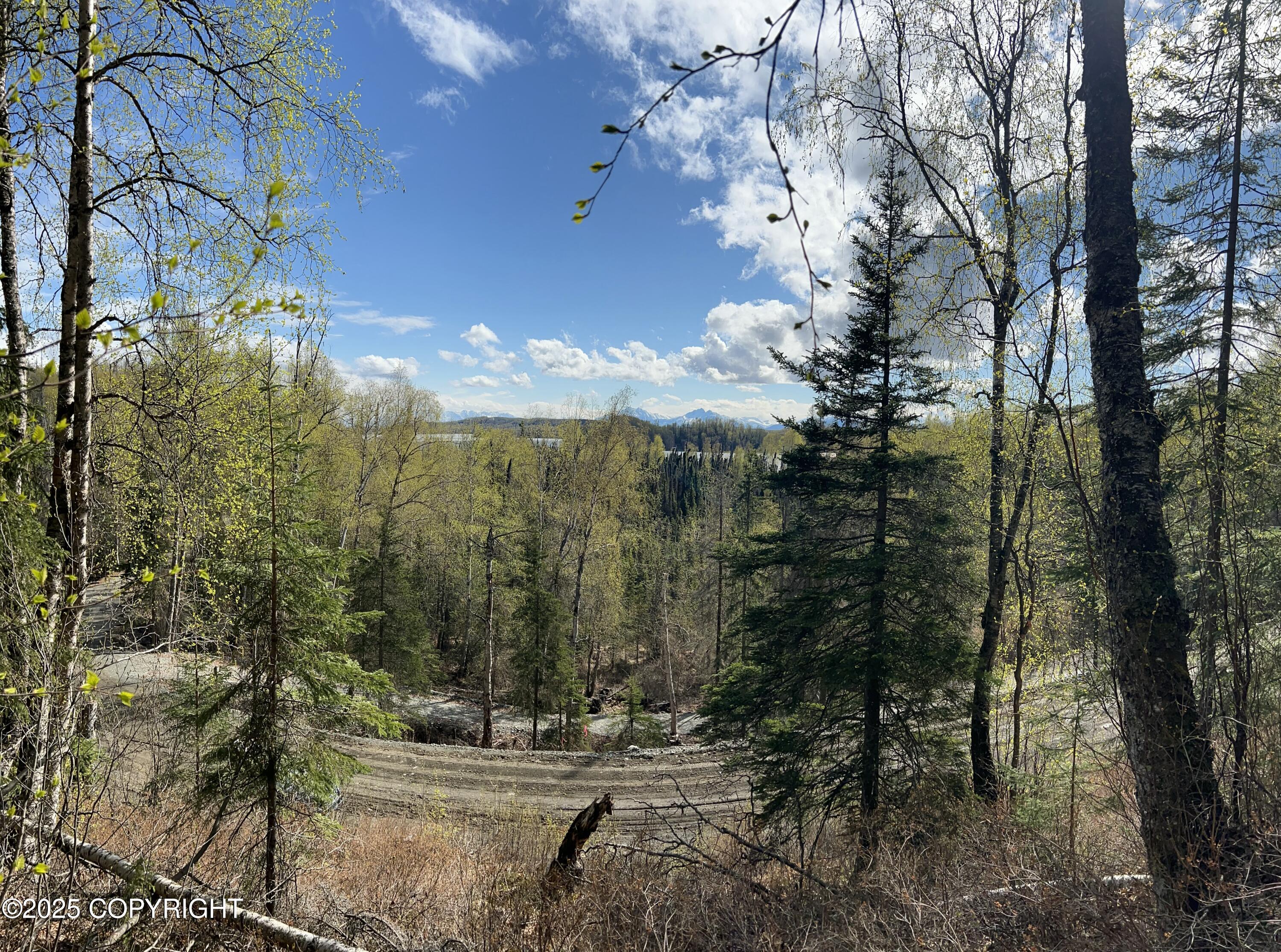 5376 S Jay Sedor Street, Big Lake, Alaska image 2