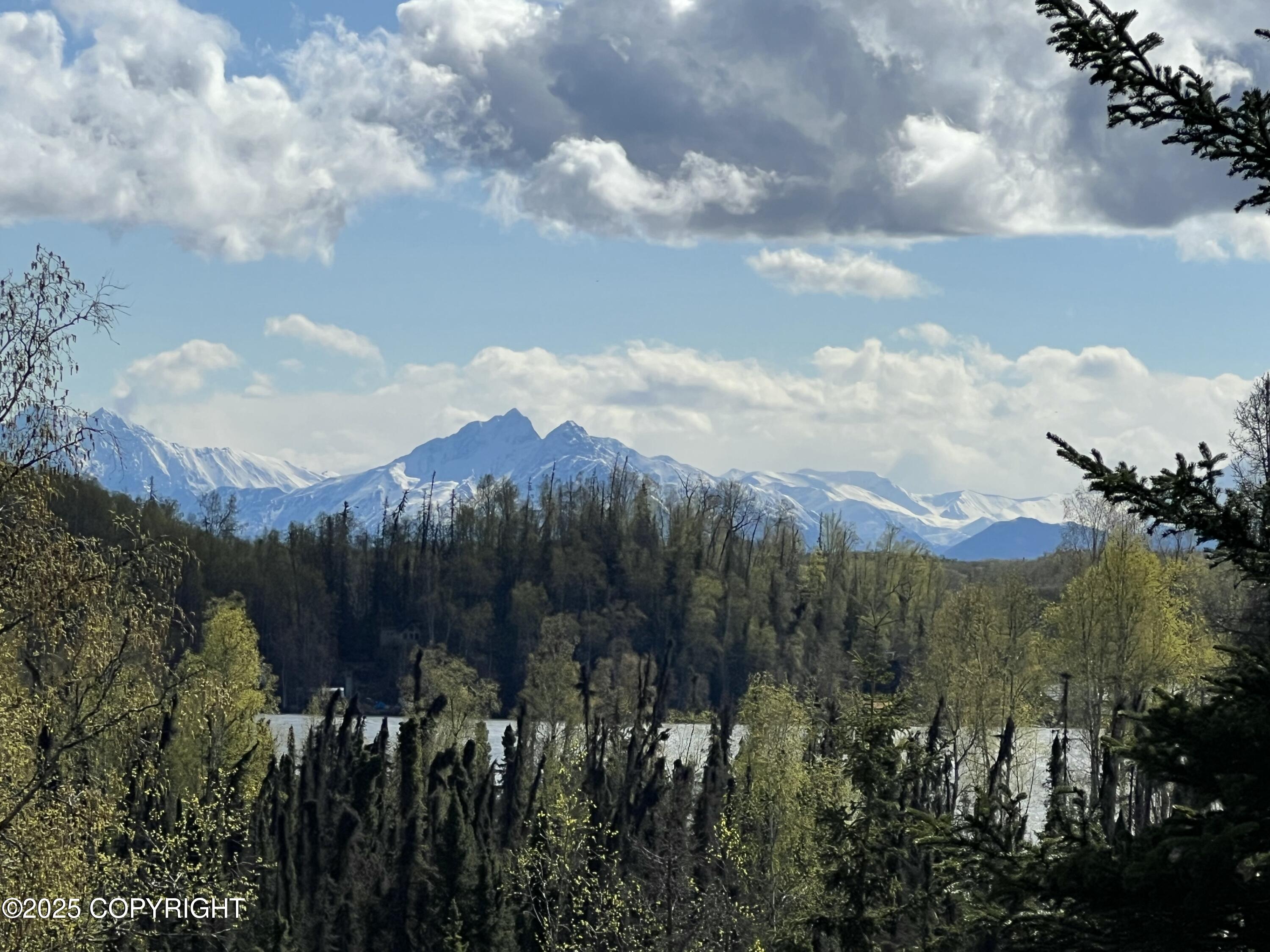 5376 S Jay Sedor Street, Big Lake, Alaska image 1