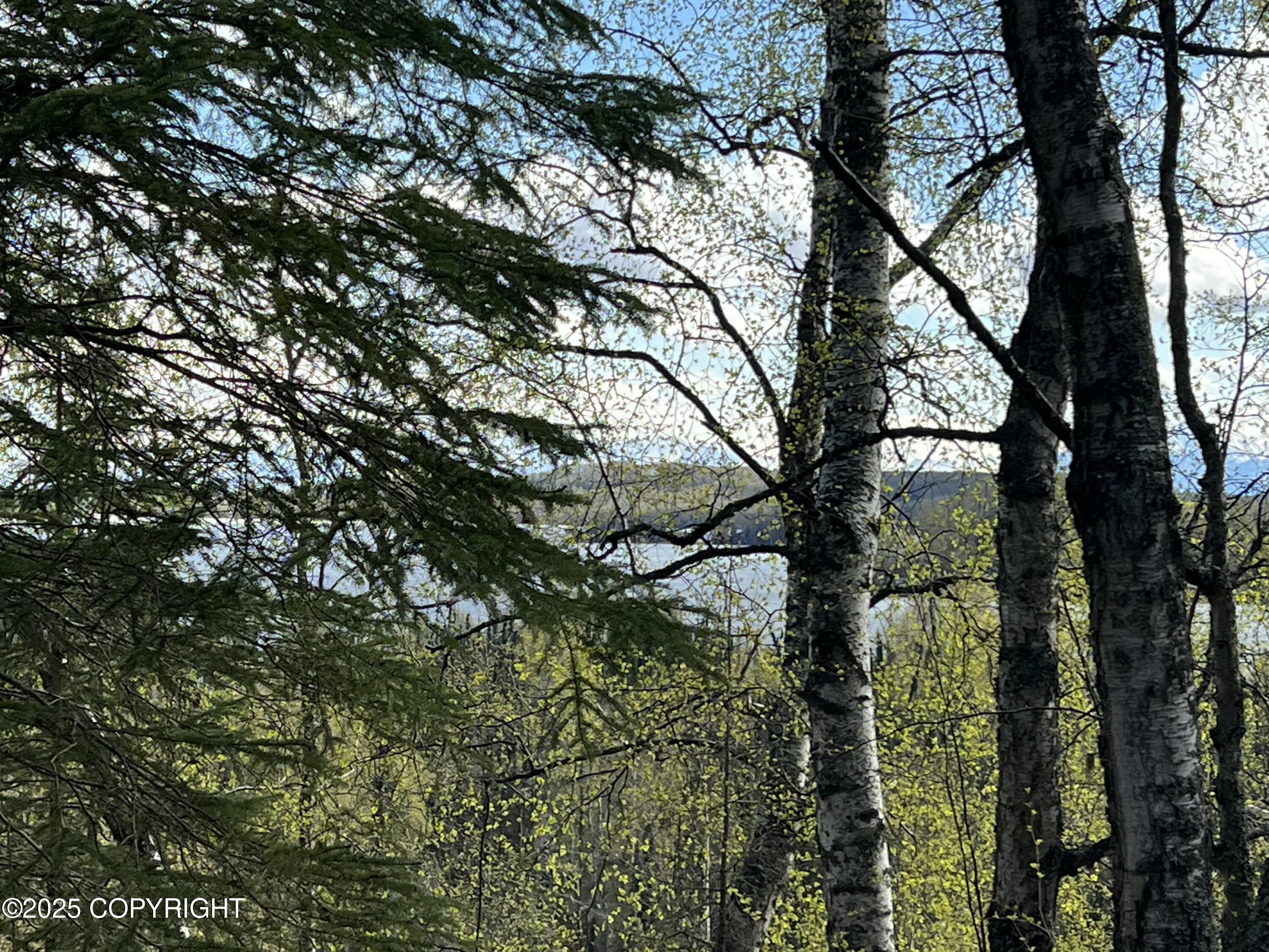 5376 S Jay Sedor Street, Big Lake, Alaska image 10