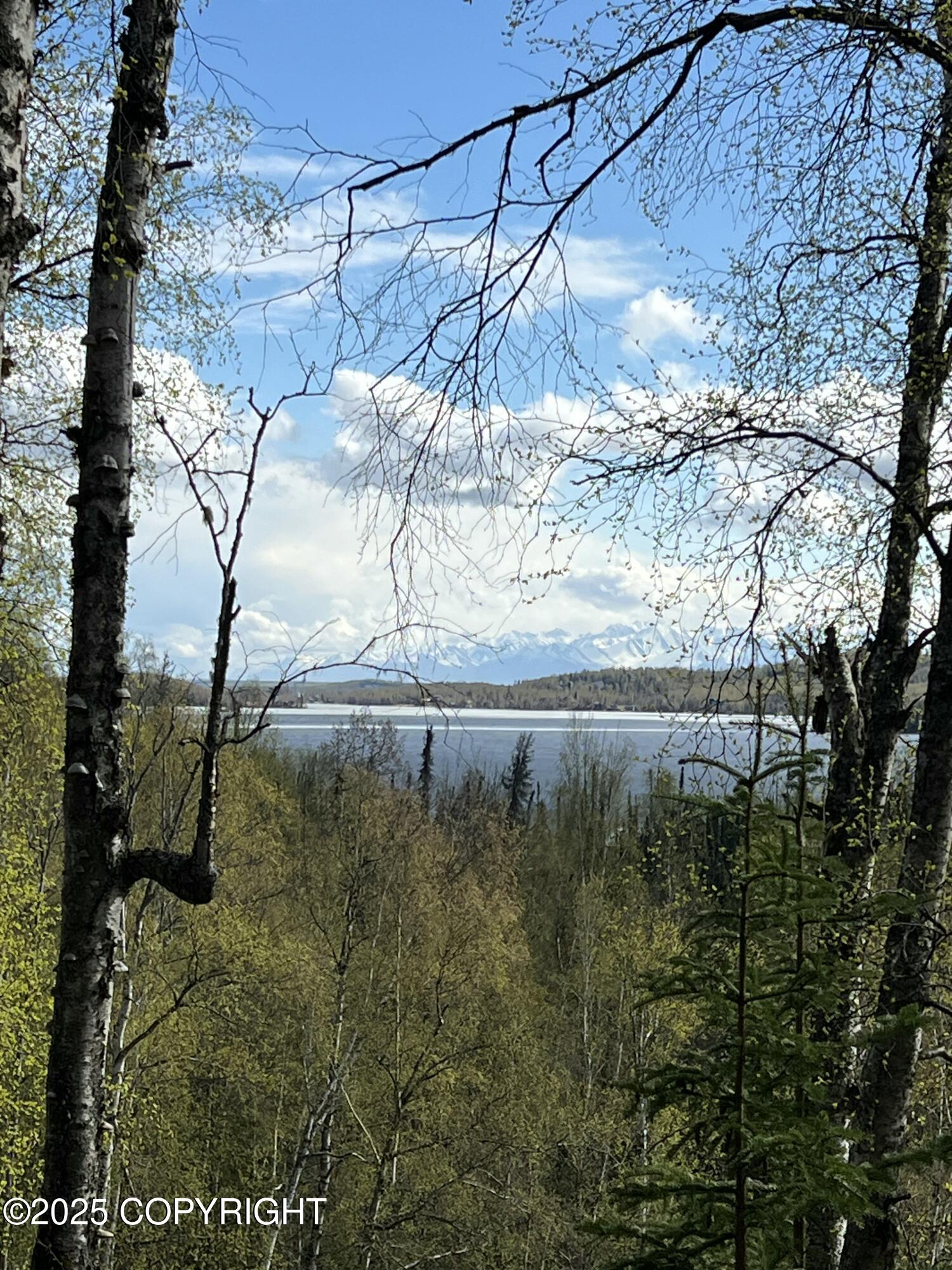 5376 S Jay Sedor Street, Big Lake, Alaska image 14