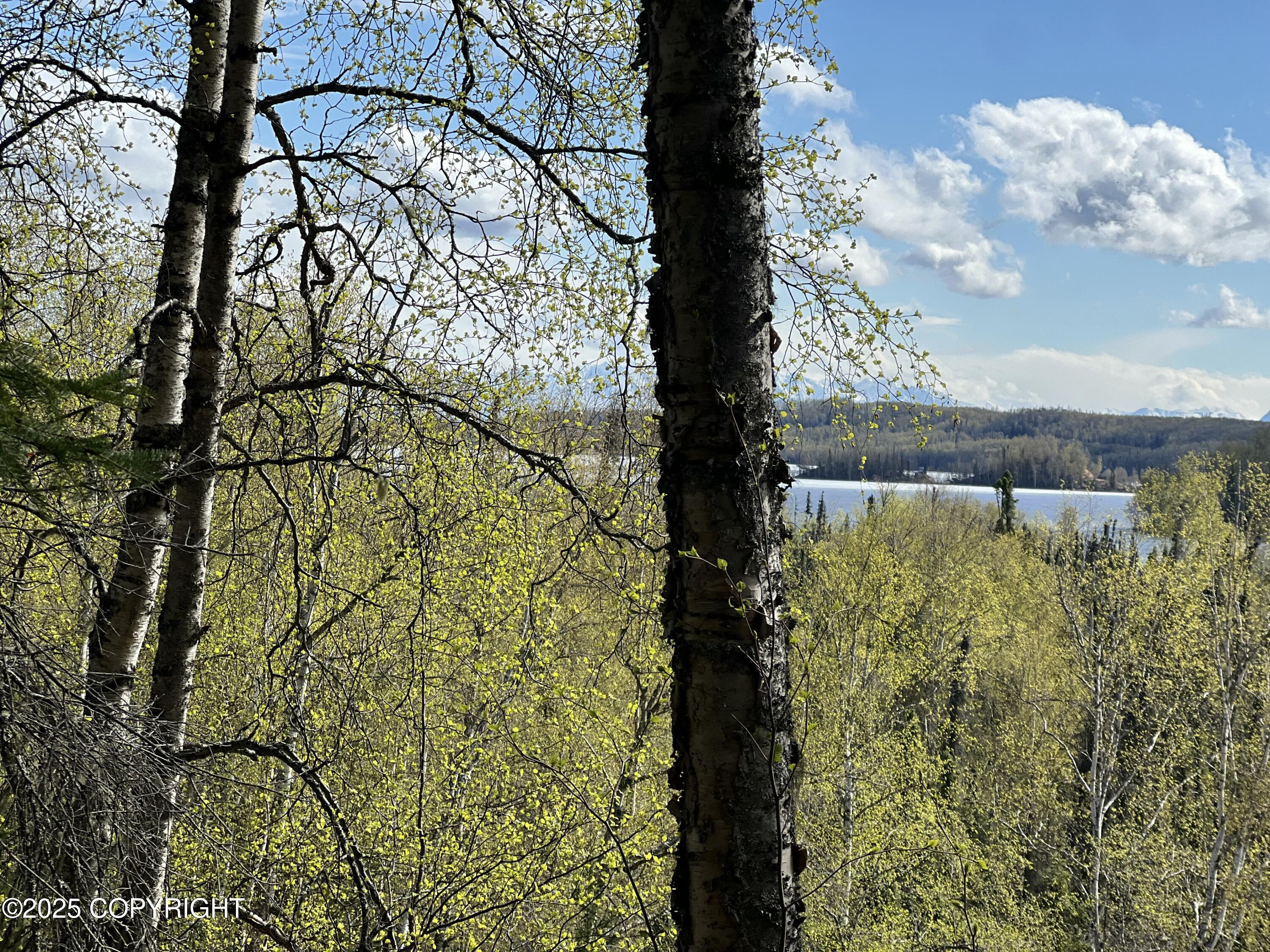5376 S Jay Sedor Street, Big Lake, Alaska image 4