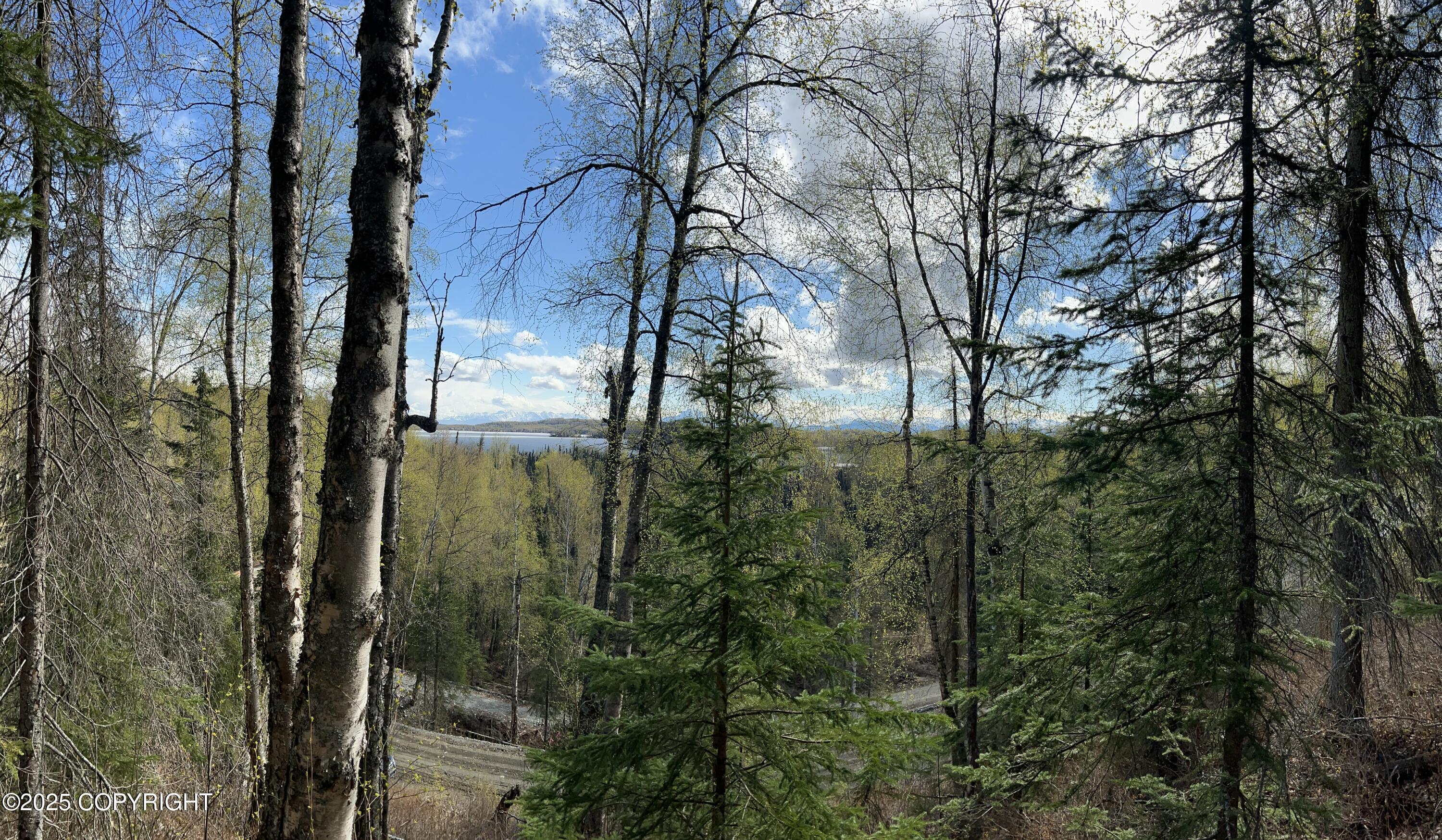 5376 S Jay Sedor Street, Big Lake, Alaska image 9