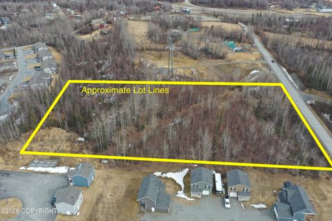 Photo of 7301 E Jim Cottrell Circle, Palmer, AK 99645 (MLS # 26-5877)