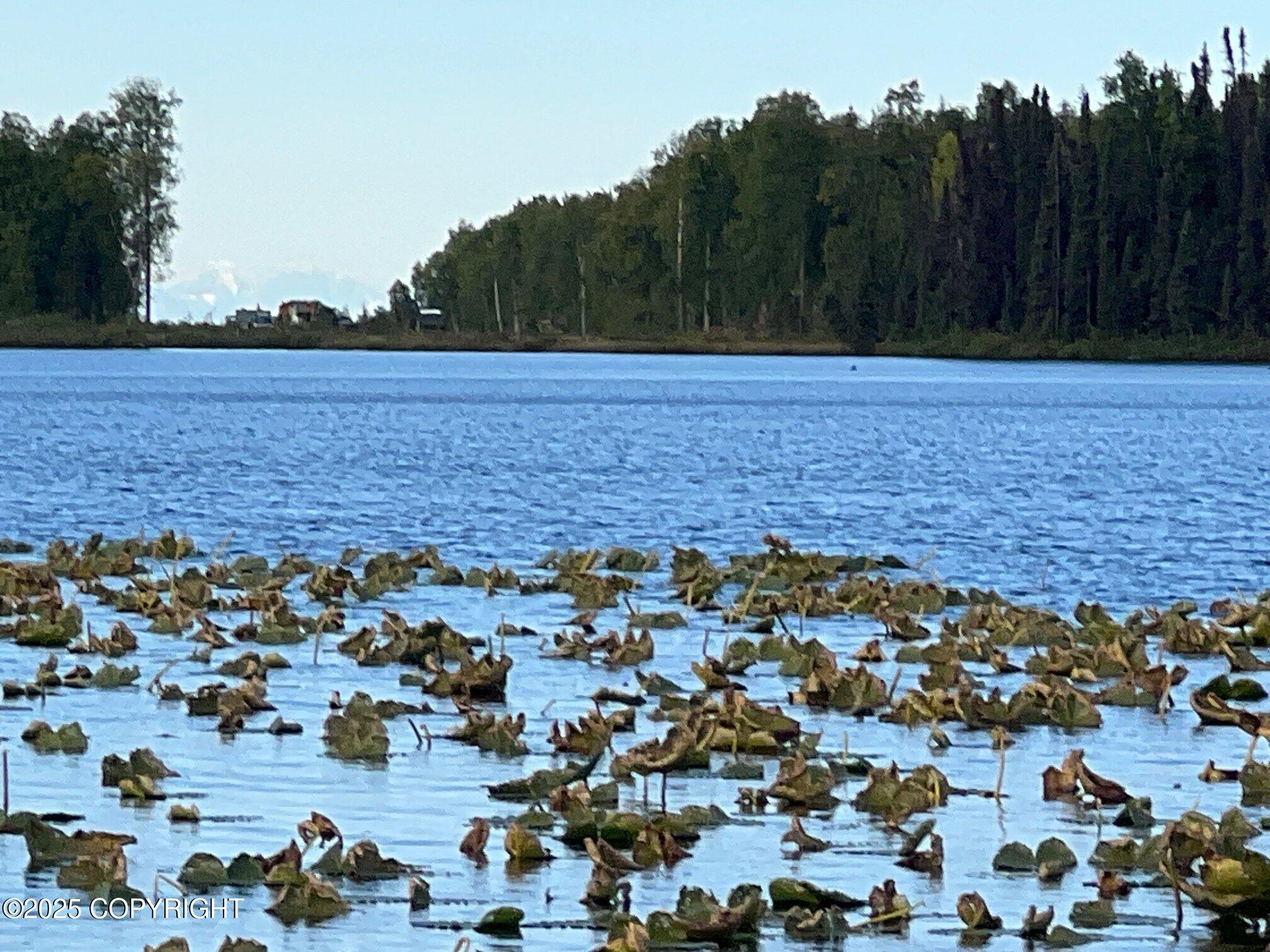 21485 E Quarah Lake Avenue, Talkeetna, Alaska image 21