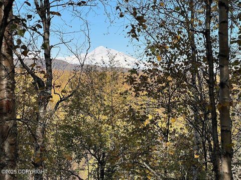 Vacant Land For Sale - 21485 E Quarah Lake Avenue<br/> Talkeetna, AK 99676