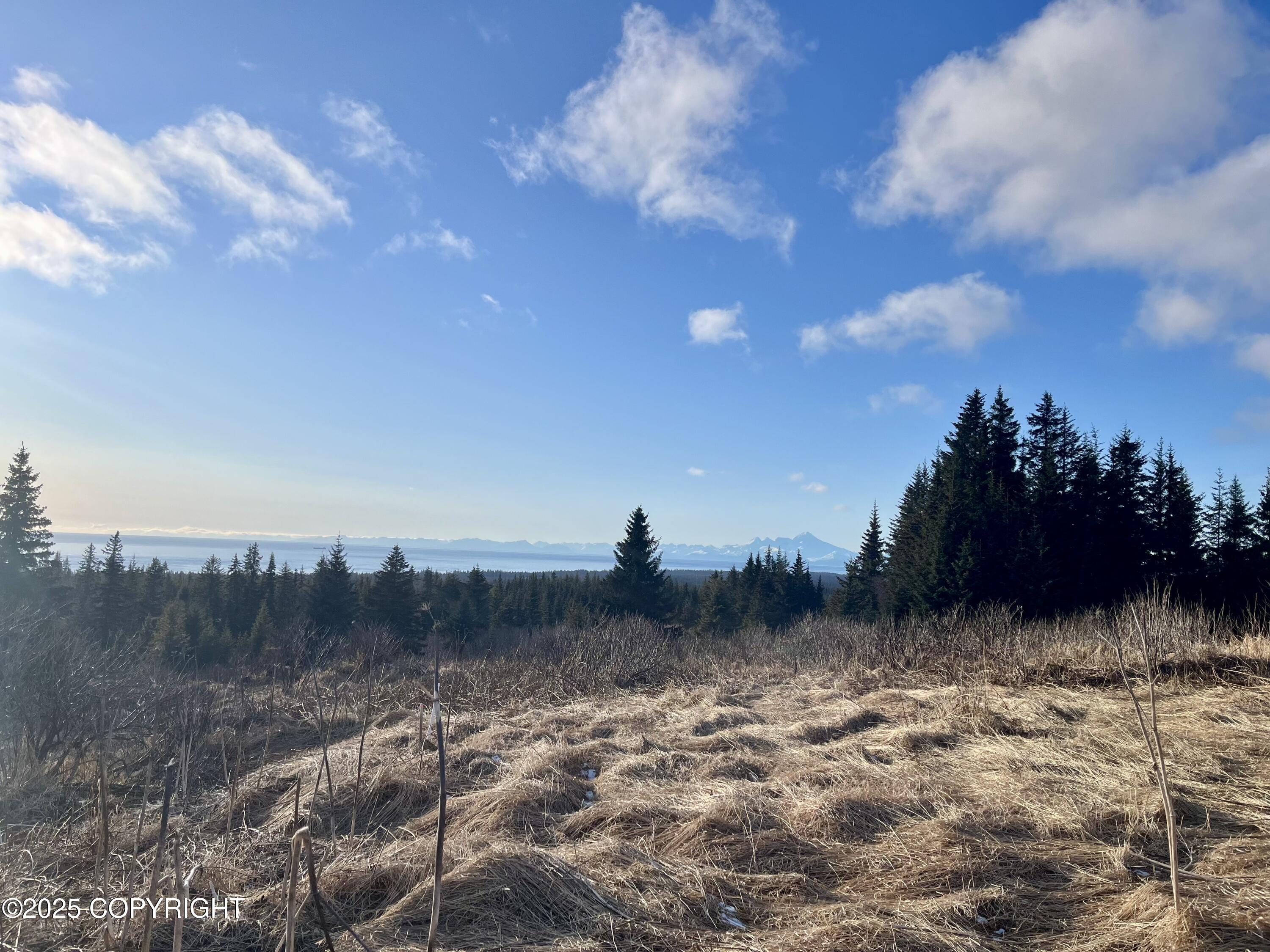 40758 Ruth Way, Homer, Alaska image 17