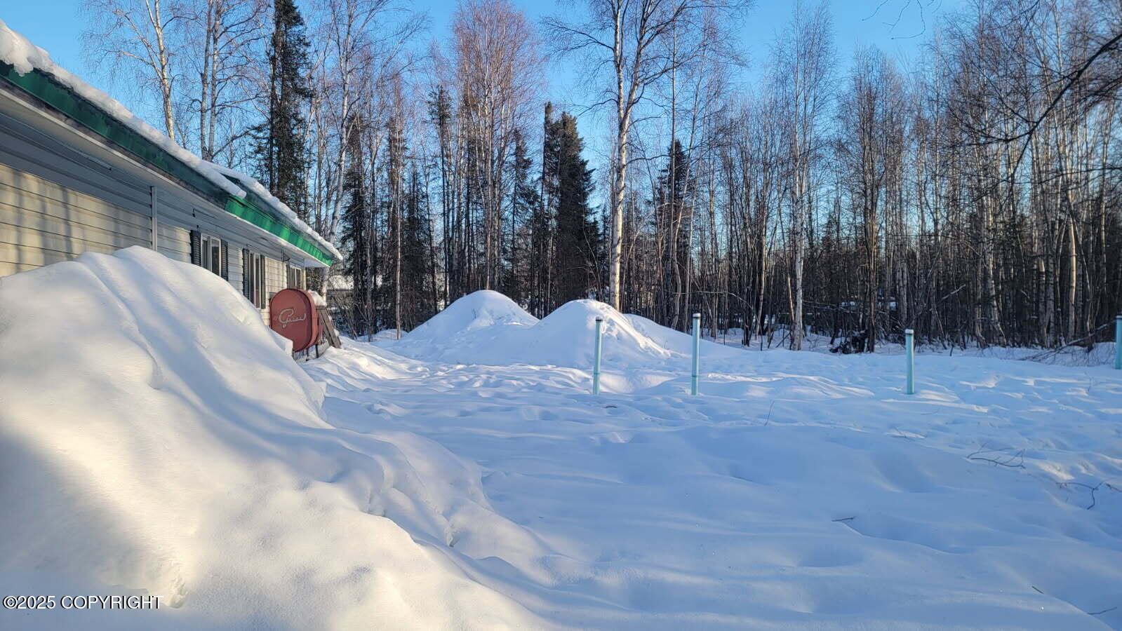 16656 E Nichols Drive, Talkeetna, Alaska image 4