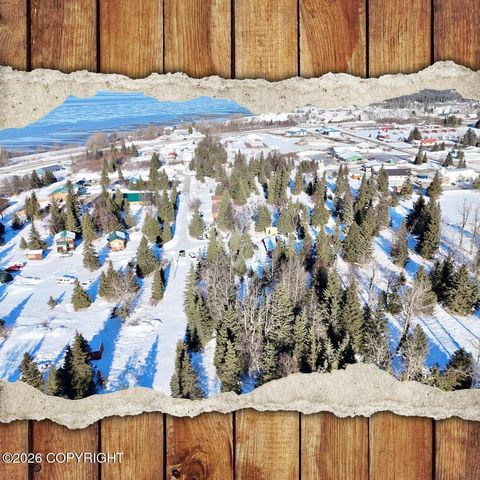 Vacant Land For Sale - 15898 Garroutte Street<br/> Ninilchik, AK 99639