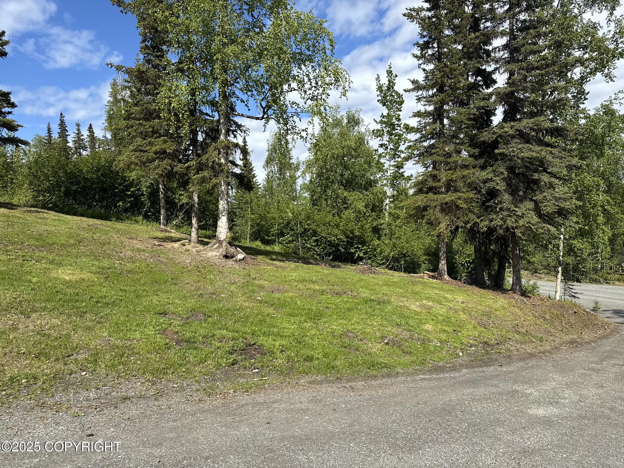 35385 Reger Road, Soldotna, Texas image 12