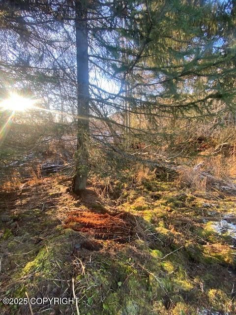 Vacant Land For Sale - LOT 21 Shelby Kay<br/> Homer, AK 99603