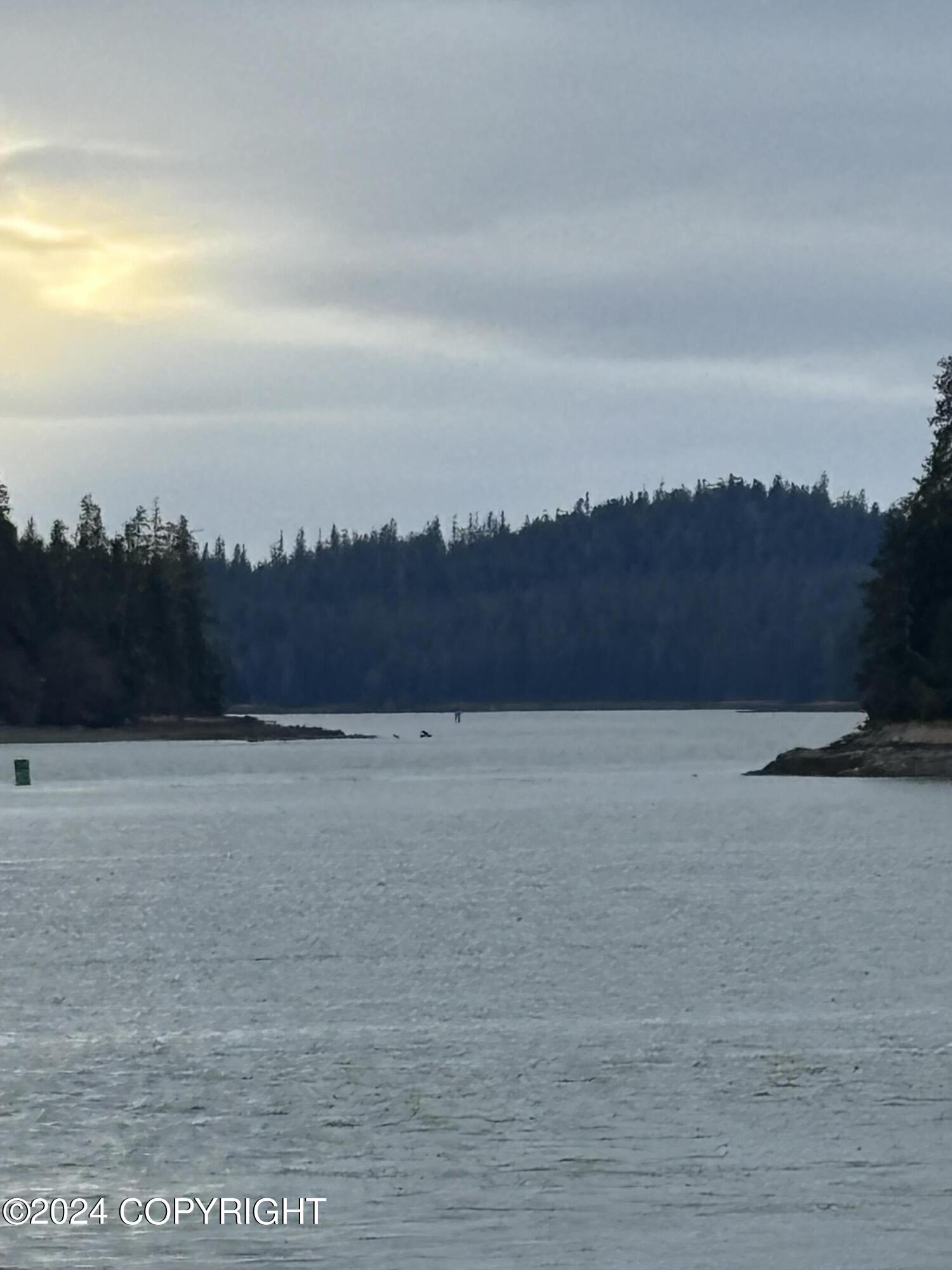 Lot 34 Keene Channel, Petersburg, Alaska image 11