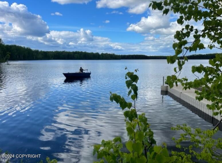 20057 E Caswell Lakes Road, Willow, Alaska image 9